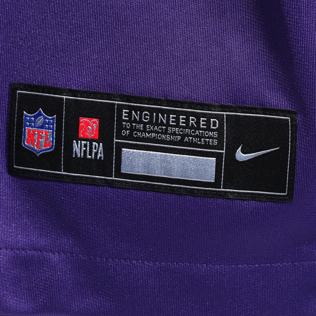Chaz Chambliss Minnesota Vikings Team Game Jersey - Purple