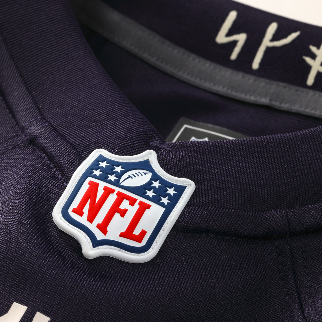 Andrew Van Ginkel Minnesota Vikings 2026 Rivalries Collection Game Jersey - Purple